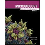 Microbiology Laboratory Theory And Application Brief University Of