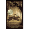 Tiger Rising