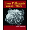 How Pathogenic Viruses Work