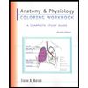 Anatomy and Physiology Coloring Workbook : A Complete Study Guide
