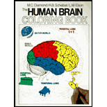 Human Brain Coloring Book