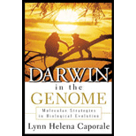 Darwin in the Genome : Molecular Strategies in Biological Evolution
