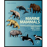 Marine Mammals