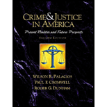 Crime and Justice in America : Present Realities and Future Prospects