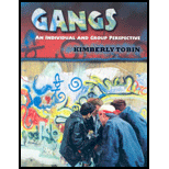 Gangs : Individual and Group Perspective