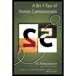 Brief Tour of Human Consciousness