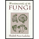 Fundamentals of the Fungi