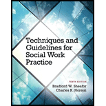 Techniques and Guidelines for Social Work Practice - With Access