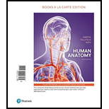 Human Anatomy (Looseleaf)