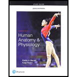 Human Anatomy and Physiology - Study Guide