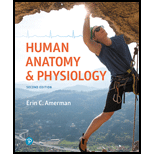 Human Anatomy & Physiology (Looseleaf) - Package