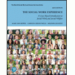 Social Work Experience, The: A Case-Based Introduction to Social Work and Social Welfare (Pearson+)