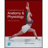 Martini Fundamentals of Anatomy and Physiology (Pearson+)