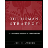 Human Strategy (Hardback)