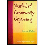 Youth-Led Community Organizing: Theory and Action (Paperback)