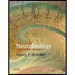 Neurobiology: A Functional Approach