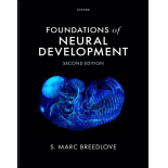 Foundations of Neural Development