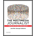 Multimedia Journalist