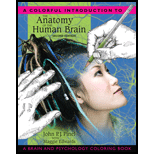 Colorful Introduction to the Anatomy of the Human Brain: A Brain and Psychology Coloring Book (2nd Edition)