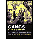 Gangs and Society : Alternative Perspectives