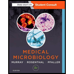 Medical Microbiology