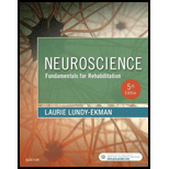 Neuroscience: Fundamentals for Rehabilitation