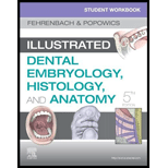 Illustrated Dental Embryology, Histology and Anatomy - Workbook