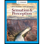 Sensation and Perception