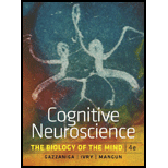 Cognitive Neuroscience (Hardback)