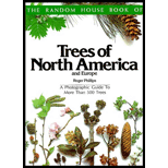 Trees of North America and Europe : A Photographic Guide to More than 500 Trees