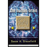 Human Brain : A Guided Tour