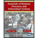 Essentials of Business Processes and Information Systems - With Access