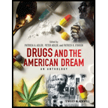 Drugs and American Dream (Paperback)