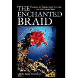 Enchanted Braid (Hardback)
