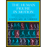 Human Figure in Motion