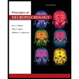 Principles of Neuropsychology