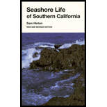 Seashore Life in Southern California