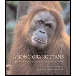 Among Orangutans