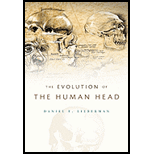 Evolution of the Human Head