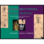 Cross-Sectional Human Anatomy