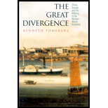 Great Divergence: China, Europe, and the Making of the Modern World Economy