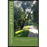 Journey 21: 21 Days - 10 Strategies to a Better Work Life