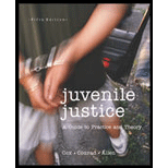 Juvenile Justice : A Guide to Practice and Theory