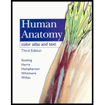 Human Anatomy : Color Atlas and Text