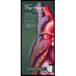 Anatomy of the Heart - Pocket Study Guide