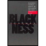 Blackness Visible : Essays on Philosophy and Race