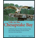 Life in Chesapeake Bay