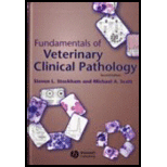 Fundamentals of Veterinary Clinical Pathology (Hardback)