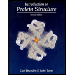 Introduction to Protein Structure