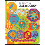 Essential Cell Biology - With DVD